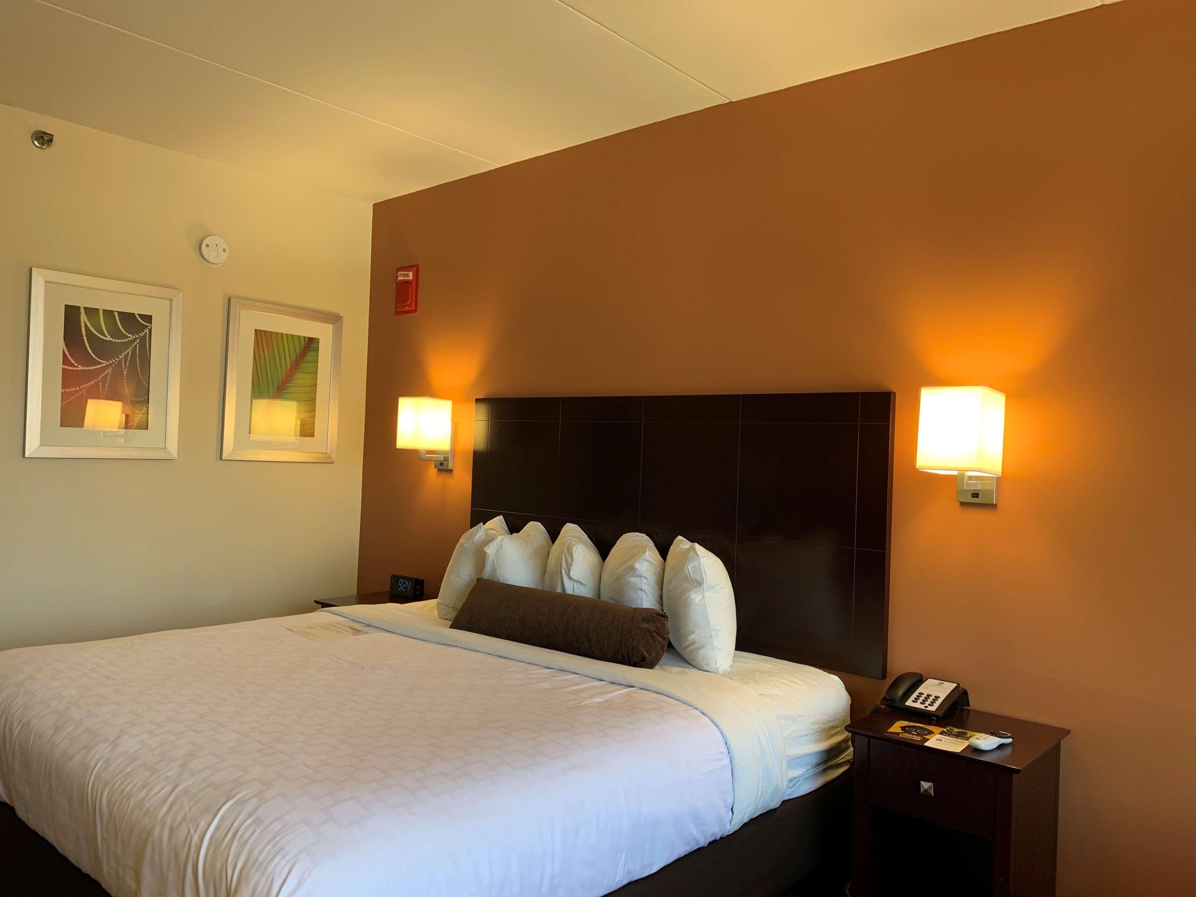Best Western Executive Hotel New Haven-West Haven Eksteriør bilde
